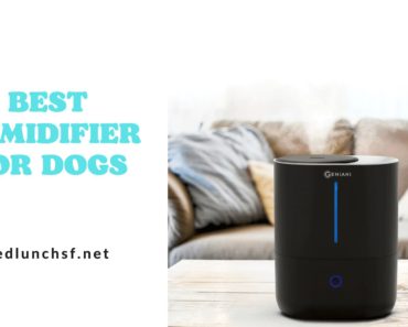 Top 10 Best Humidifier For Dogs in 2023