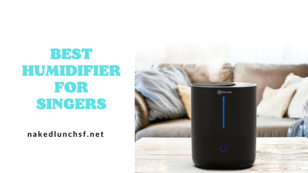 Best Humidifier For Singers