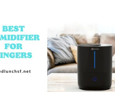 Top 10 Best Humidifier For Singers in 2023